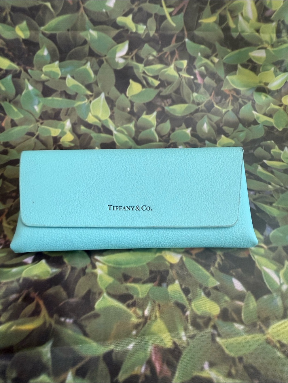 Tiffany & Co. Tiffany Blue Leather Eyewear Case